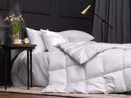 Одеяло German Grass EXCLUSIVE COTTON EIDER DOWN теплое 331