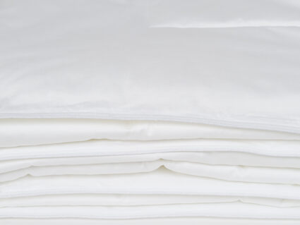 Одеяло Nature’S-Natura Sanat Шелковая идея легкое 220х240