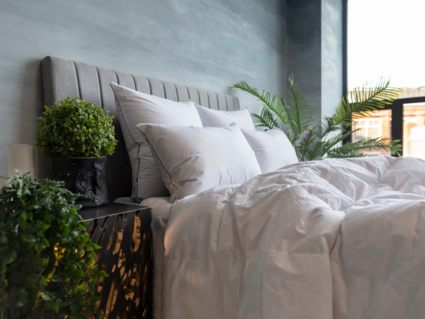 Подушка German Grass Gray Familie Down упругая