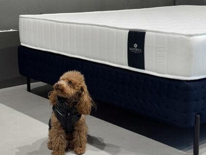 Матрас Materlux Dornes 125х195