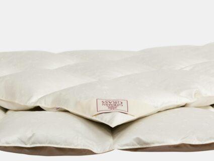 Одеяло German Grass EXCLUSIVE SILK EIDER DOWN теплое 331