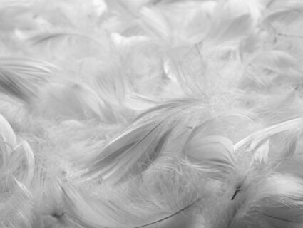 Подушка Nature’S-Natura Sanat Люкс 50х90