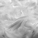 Подушка Nature’S-Natura Sanat Для женщин 50х70