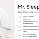 Матрас Мистер Слип Special Line старт плюс 170х200