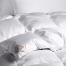 Одеяло German Grass EXCLUSIVE COTTON EIDER DOWN теплое 220х240
