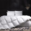 Одеяло German Grass EXCLUSIVE COTTON EIDER DOWN теплое 220х240